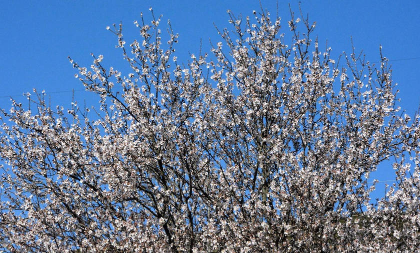 Τα ψέματα δεν είναι μόνο του Απρίλη