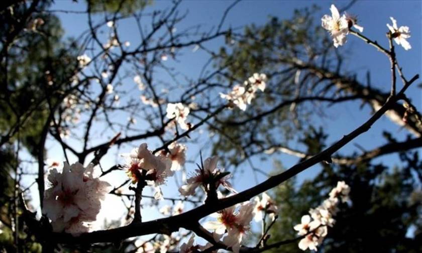 Αίθριος καιρός με άνοδο της θερμοκρασίας
