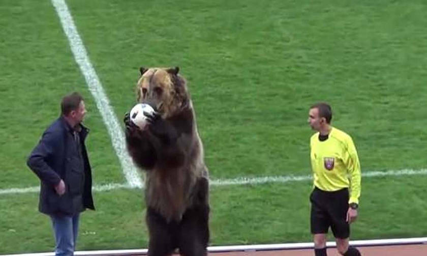 Σάλος με την αρκούδα... ανιματέρ στη Ρωσία (vid)