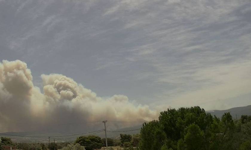 Σκέπασαν Δυτική Αττική και Πειραιά οι καπνοί από την φωτιά στην Κινέτα - Μάχη από αέρος