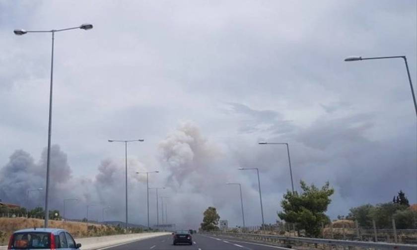 Εκκενώθηκαν τρεις οικισμοί της Κινέτας - Ανεξέλεγκτη η μεγάλη φωτιά στην Αττική