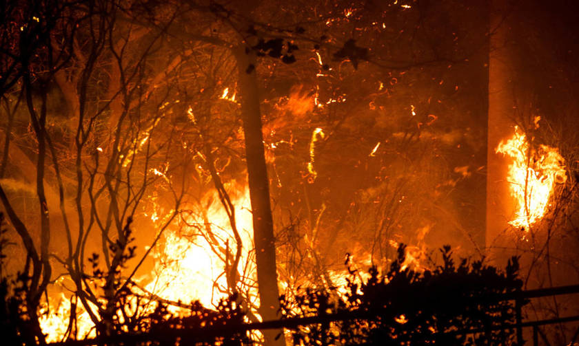 Κόλαση στην Αττική: Ανεξέλεγκτες φωτιές, αυξάνεται ο αριθμός των νεκρών (vids)