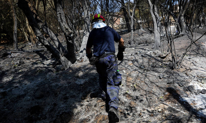 Έκρηξη Γεωργάτου κατά βουλευτών: «Μικρά ανθρωπάκια, σας σιχάθηκα» (pic)