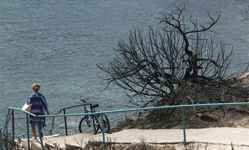 Εισαγγελέας ερευνά την πρόσβαση των πολιτών στις παραλίες στο Μάτι