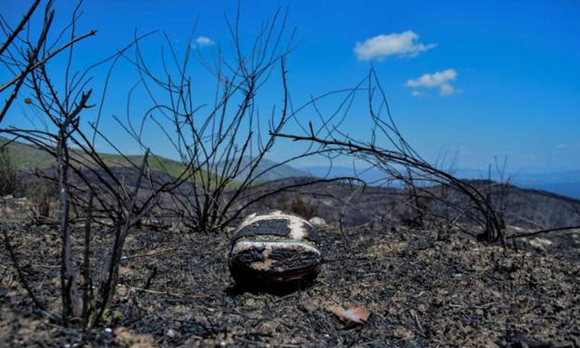 Μάτι: Στη δημοσιότητα η λίστα με τους 92 νεκρούς της τραγωδίας