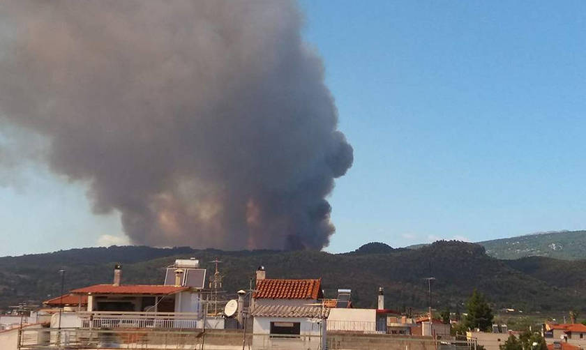 Πυροσβεστική: Προς πλήρη κατάσβεση η πυρκαγιά στην Εύβοια