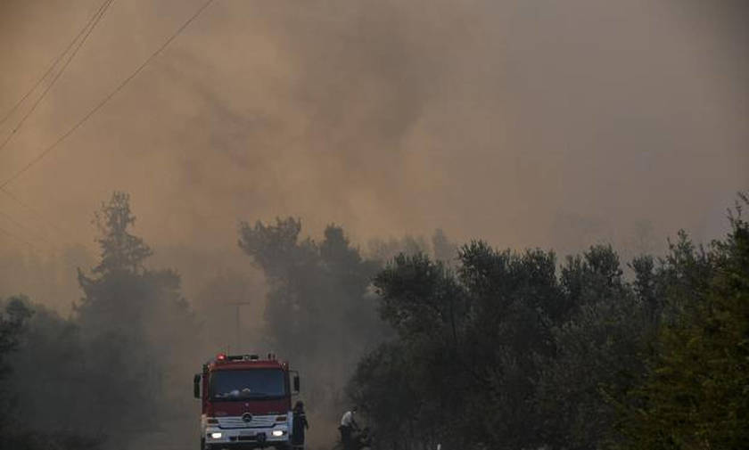 Πυρκαγιά στην Αμαλιάδα: Εκκενώθηκε χωριό