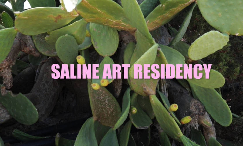 Saline Art Residency: Δημόσιες γλυπτικές δράσεις σε Πόρτο Χέλι και Ερμιόνη