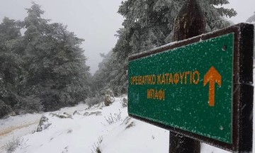 Έτσι... ξύπνησε η Πάρνηθα - Εικόνα από το Μπάφι