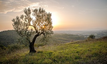 Συνεχίζονται οι ανοιξιάτικες μέρες -Μέχρι 23 βαθμούς η θερμοκρασία