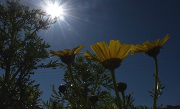 Αλλάζει ο καιρός την Πρωτομαγιά: Πού θα σημειωθούν βροχές και καταιγίδες