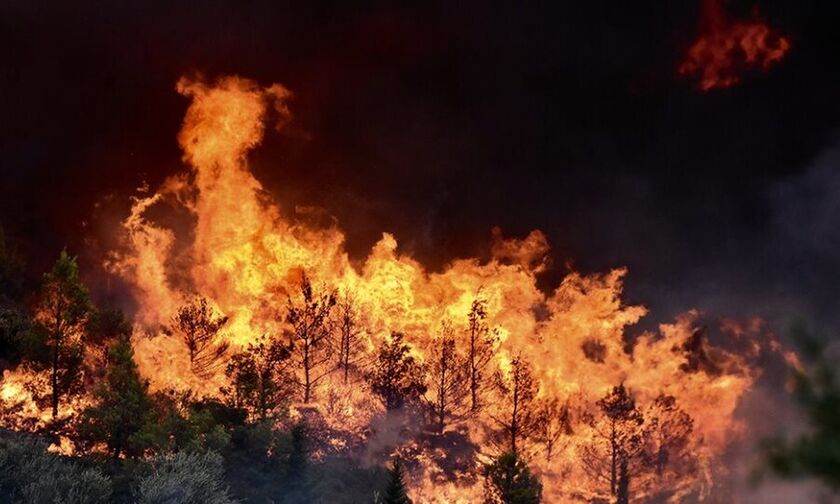 Υψηλός κίνδυνος πυρκαγιάς σήμερα, Παρασκευή 14 Ιουνίου