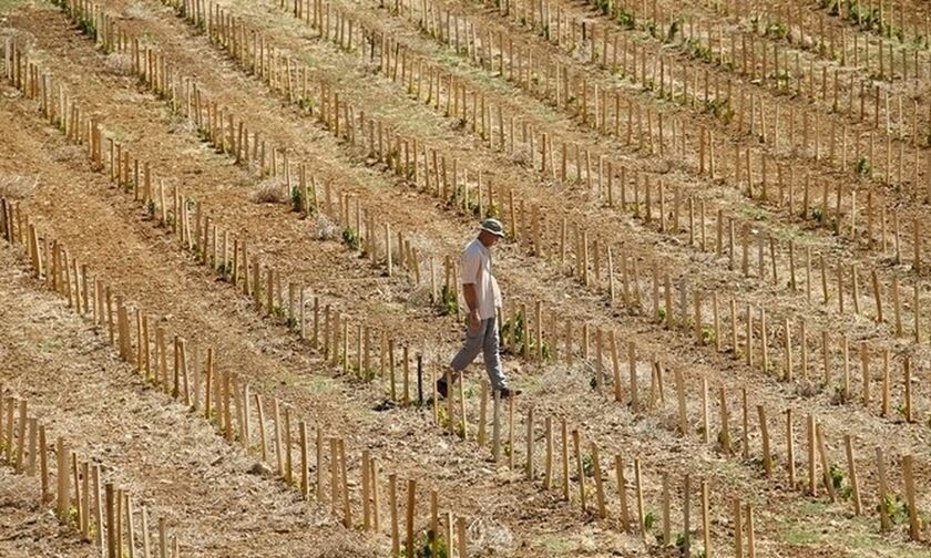 Η Ελλάδα κινδυνεύει να γίνει έρημος