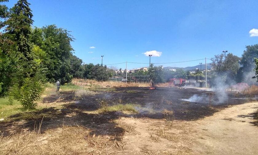 Φωτιά στον Κολωνό (pics & vid)