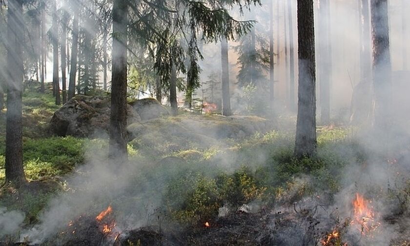 Μεγάλη φωτιά στην Εύβοια τώρα: Καίγονται Μακρυχώρι και Μανίκια