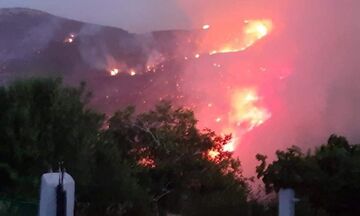 Φωτιά στην Εύβοια: Πέντε πολίτες στο νοσοκομείο