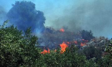 ΕΚΤΑΚΤΟ: Μεγάλη πυρκαγιά σε εξέλιξη στον Κιθαιρώνα Αττικής (pics)