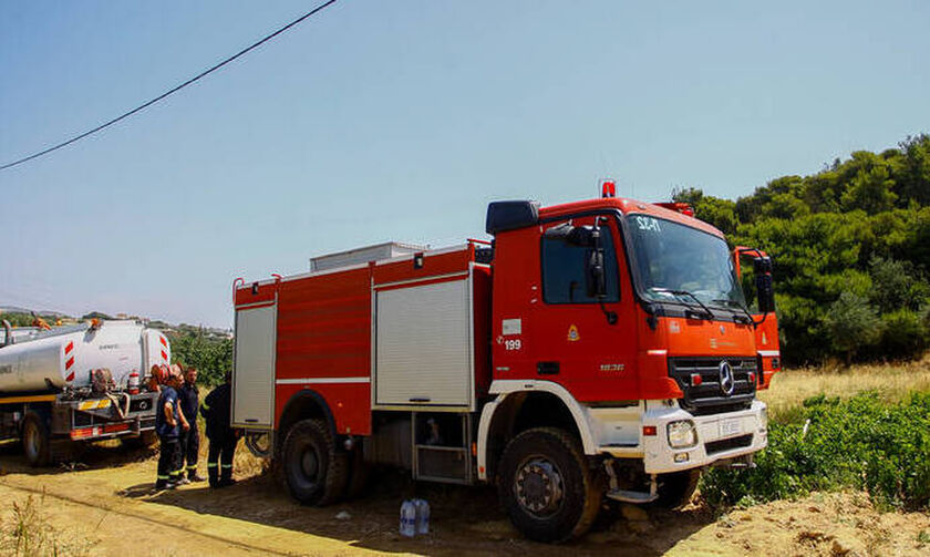 Υπό πλήρη έλεγχο η φωτιά στον Κιθαιρώνα