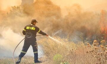 Πολύ υψηλός κίνδυνος πυρκαγιάς σήμερα στις Περιφέρειες Αττικής και Στερεάς Ελλάδος