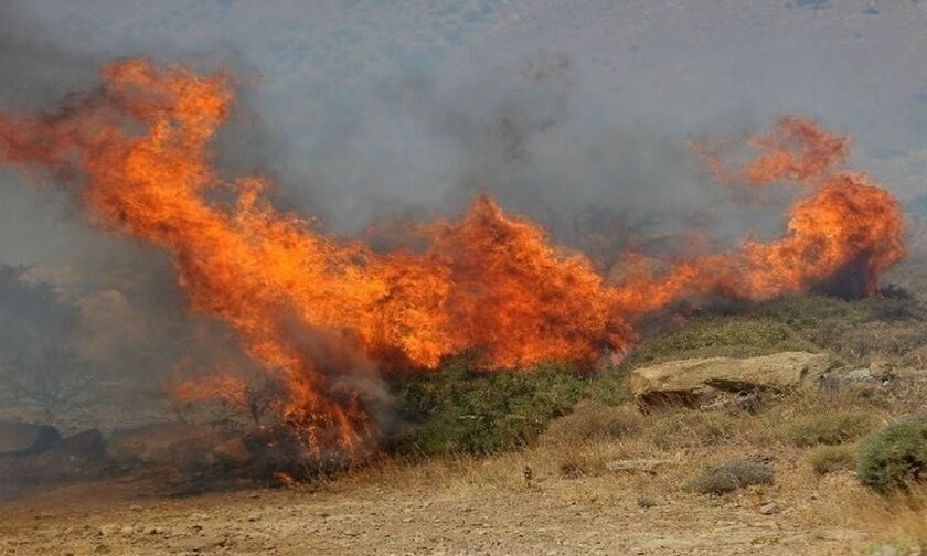 Σε εξέλιξη φωτιά σε δασική έκταση στο Ναύπλιο
