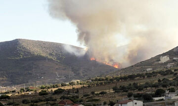 Πυρκαγιά στην Κερατέα (pic)