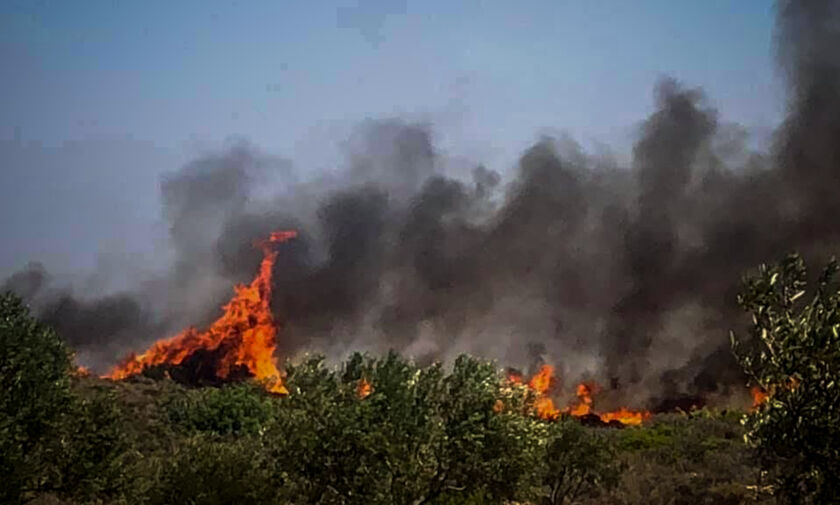 Αναζωπυρώθηκε η πυρκαγιά στην Ελαφόνησο - Νέες εστίες σε Ηλεία και Ζάκυνθο! (vid)