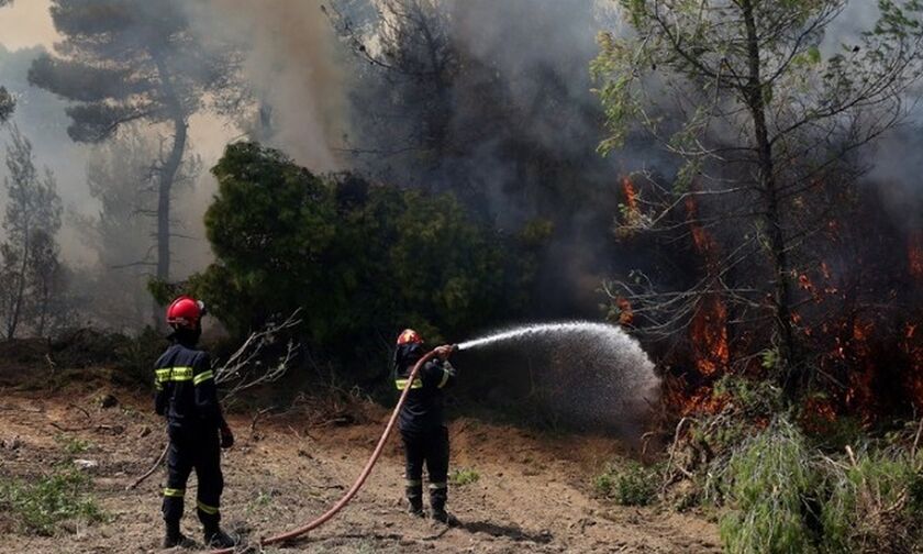 Ζάκυνθος: Υπό πλήρη έλεγχο η πυρκαγιά στην περιοχή Μουζάκι