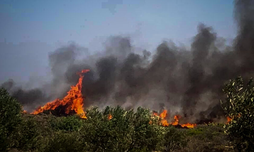 Υψηλός κίνδυνος πυρκαγιών: Σε «κόκκινο» συναγερμό η Ελλάδα