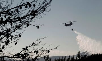 Πολύ υψηλός και αύριο ο κίνδυνος πυρκαγιάς - Ποιες περιοχές είναι στα «κόκκινα»