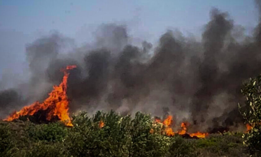 Ανεξέλεγκτη η φωτιά στη Θήβα - Κινείται στα όρια της Βοιωτίας με την Αττική