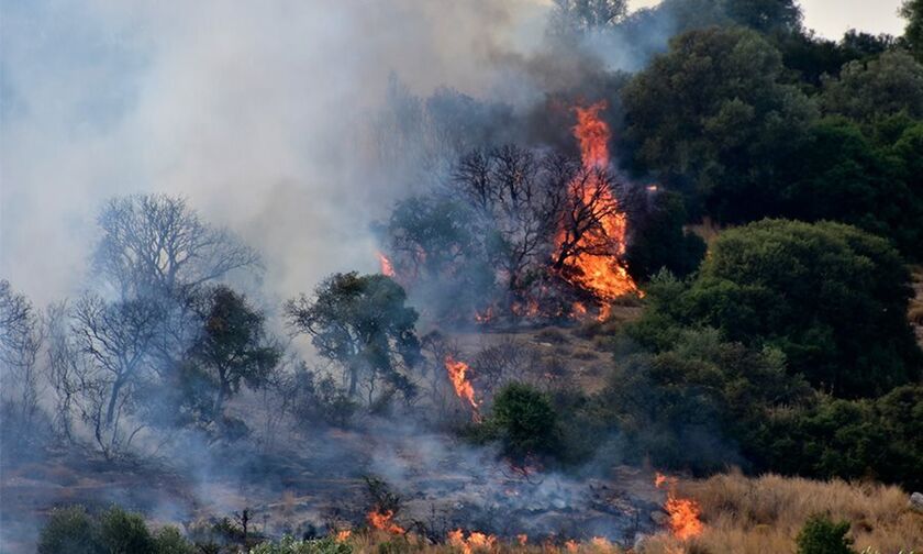 ΚΕ.ΕΛ.ΠΝΟ: Προληπτικά μέτρα προστασίας μετά από πυρκαγιά