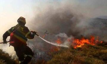 Θάσος: Υπό πλήρη έλεγχο η φωτιά