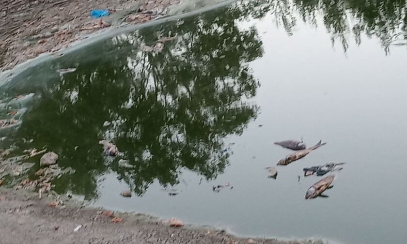 Δήμος Ιλίου: Στον Εισαγγελέα Περιβάλλοντος για τις άσχημες συνθήκες στο Πάρκο Τρίτση