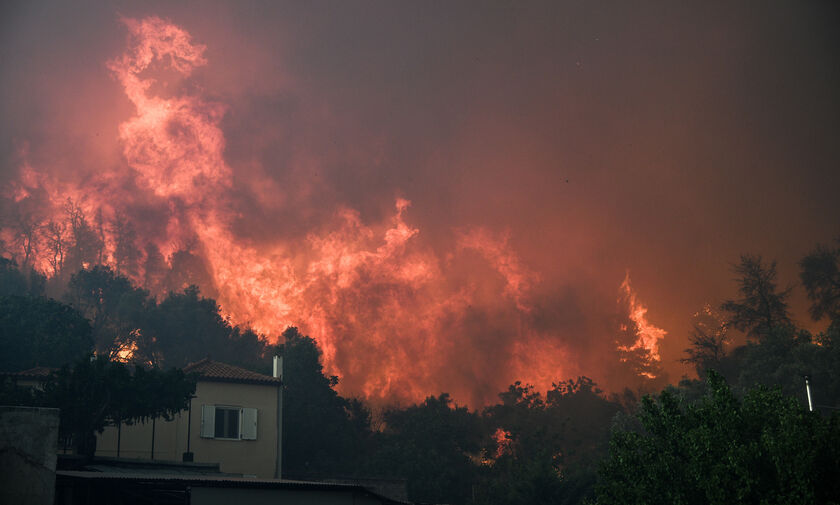 Πύρινος εφιάλτης στην Εύβοια - Εκκενώθηκαν 4 χωριά - Στα 11χλμ. το μέτωπο της φωτιάς (vids, pics)