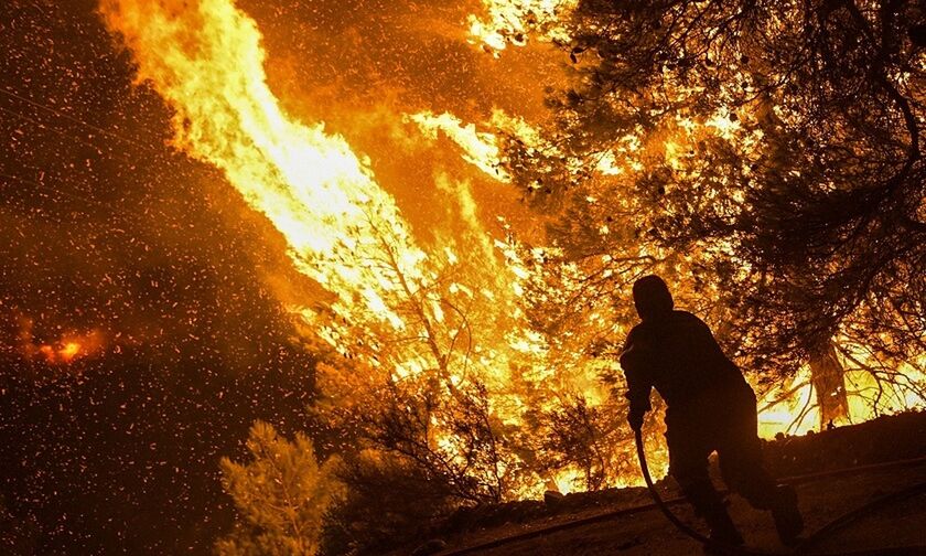 Πυρκαγιά στην Εύβοια: Στα 20 μέτρα οι φλόγες - Μάχη για να μη φτάσει η φωτιά στα Ψαχνά (pics)