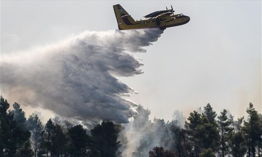 Εύβοια: Αγωνιώδεις προσπάθειες για να περιοριστεί η πυρκαγιά (pics & vids)
