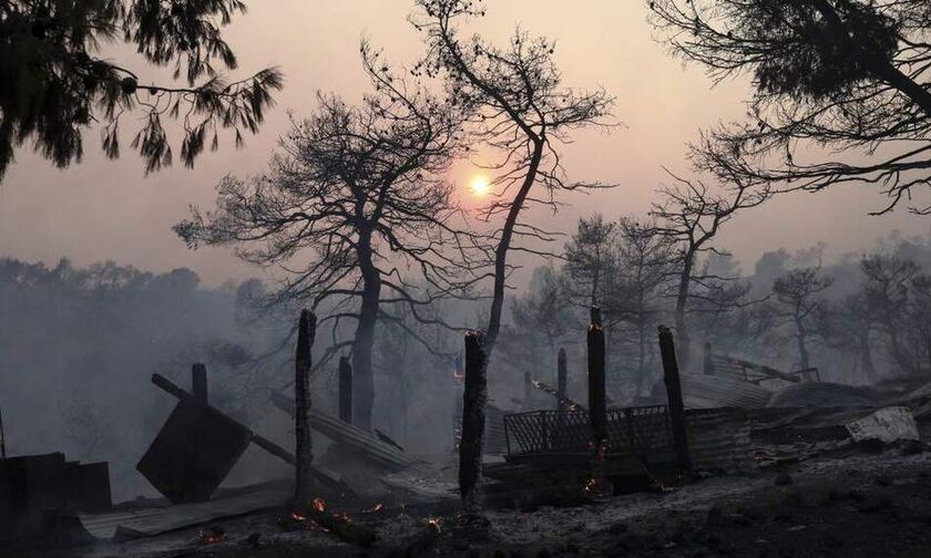 Τεράστια οικολογική καταστροφή στην Εύβοια - «Στάχτη» 28.000 στρέμματα πευκοδάσους (pics & vids)