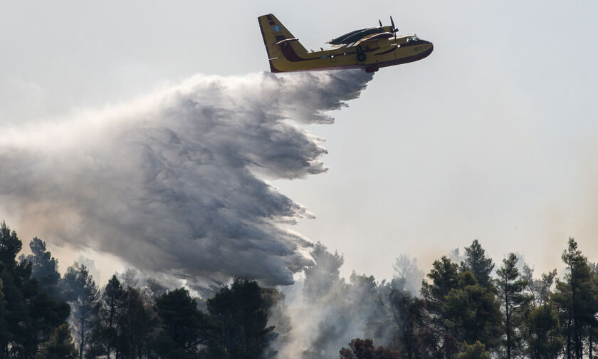 Πυρκαγιά στην Εύβοια: Συνεχείς αναζωπυρώσεις και μάχη με τις φλόγες (pics, vids)