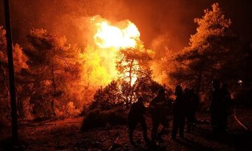 Πυρκαγιά στην Εύβοια: Ενδείξεις για εμπρησμό! - Νέα ολονύχτια μάχη με τις φλόγες (vids)