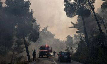 Εύβοια: Συνεχίζεται για τρίτη ημέρα η μάχη με τις φλόγες