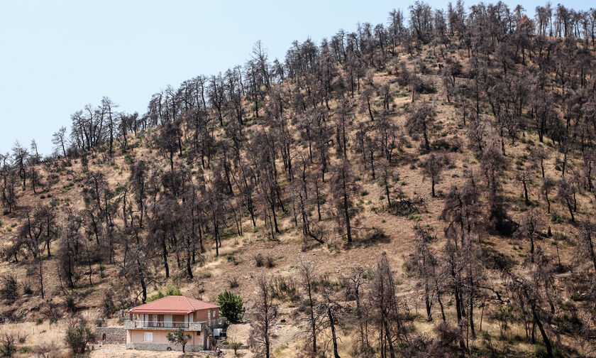 Fake News: Δεν κάηκε το δάσος Natura στην Εύβοια