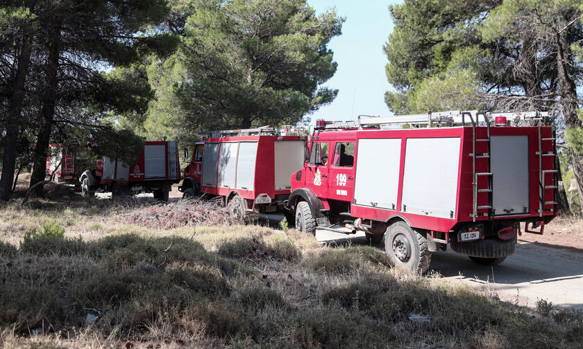 ΤΩΡΑ: Φωτιά στα Γιάννινα!