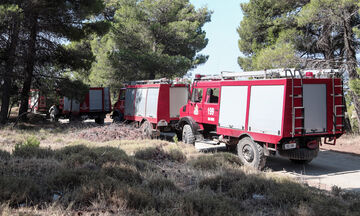 ΤΩΡΑ: Φωτιά στα Γιάννινα!