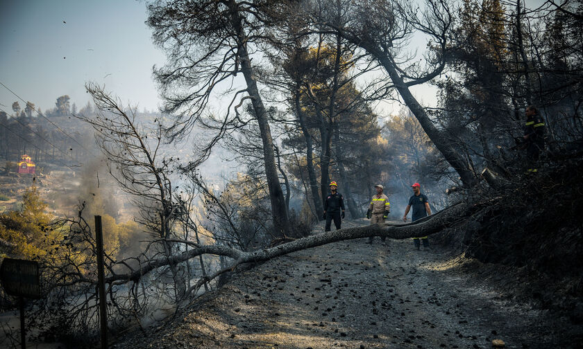 Πυρκαγιά και στην Ιεράπετρα Κρήτης!