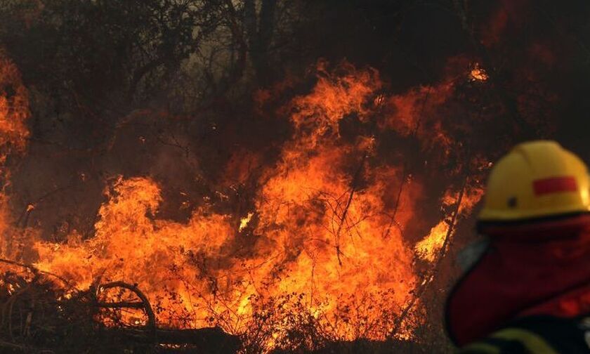 Μαρίνα Σίλβα: Η καταστροφή στον Αμαζόνιο είναι "ένα έγκλημα κατά της ανθρωπότητας"