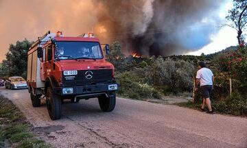 Πυρκαγιά σε δασική έκταση στην περιφερειακή Αιγάλεω