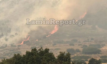 Πυρκαγιά στους Δελφούς: Κλειστός ο δρόμος της Ιτέας