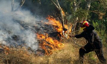 Ζάκυνθος: Η πυρκαγιά έφτασε στο χωριό Κερί - Προληπτική εκκένωση σπιτιών