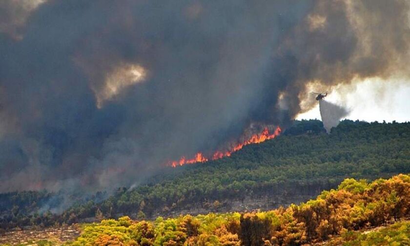 Βραζιλία: Ο Μπολσονάρου κατηγορεί τον Ντι Κάπριο ότι χρηματοδότησε εμπρησμούς στον Αμαζόνιο!