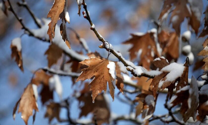 Καιρός: Τοπικές βροχές και σποραδικές καταιγίδες - Πού θα χιονίσει